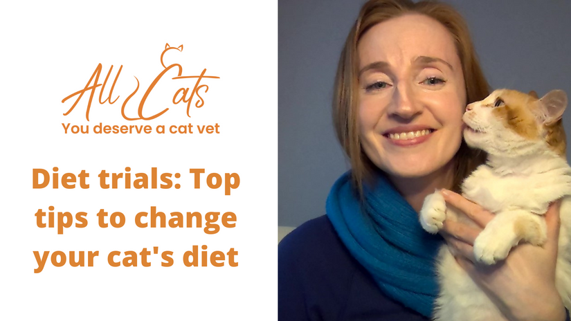 Diet trials in cats